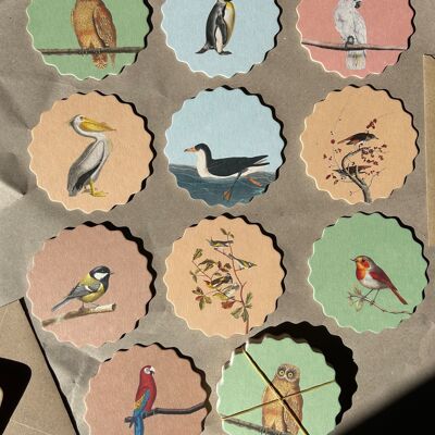 Coasters/Coaster Birds