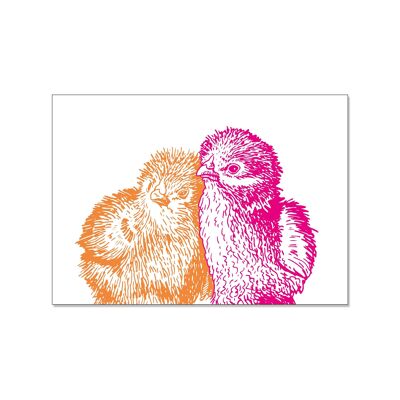 Carte postale paysage, poussins orange et rose