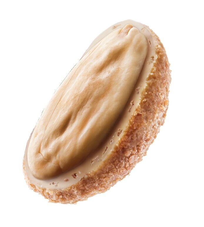 Mandorle Ricoperte di Sale Grigio e Wafer al Cioccolato Biondo