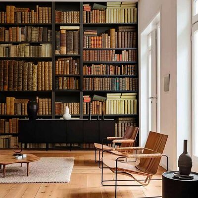 Papel pintado de biblioteca de alta gama 200g 300x450 cm 9 tiras