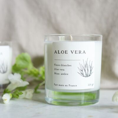Grande - Aloe vera Bougie parfumée collection essentielle