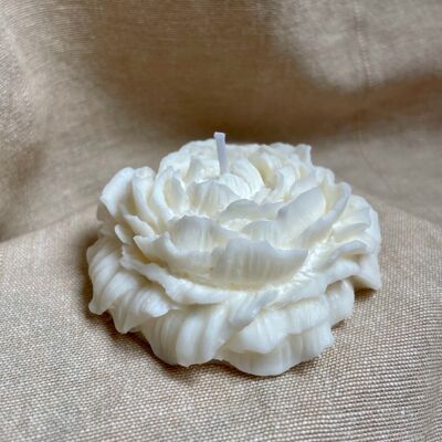 Confezione da 3 candele decorative in cera di colza - Peonia 75g