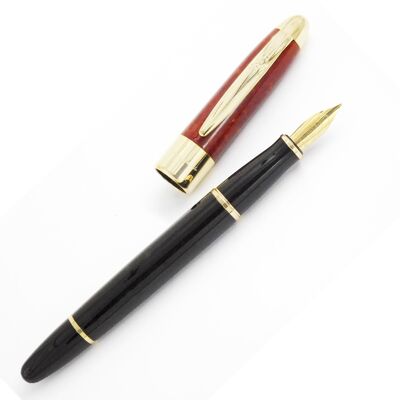 Duchess fountain pen