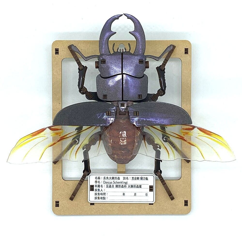 Hirschkäfer 3D Puzzle