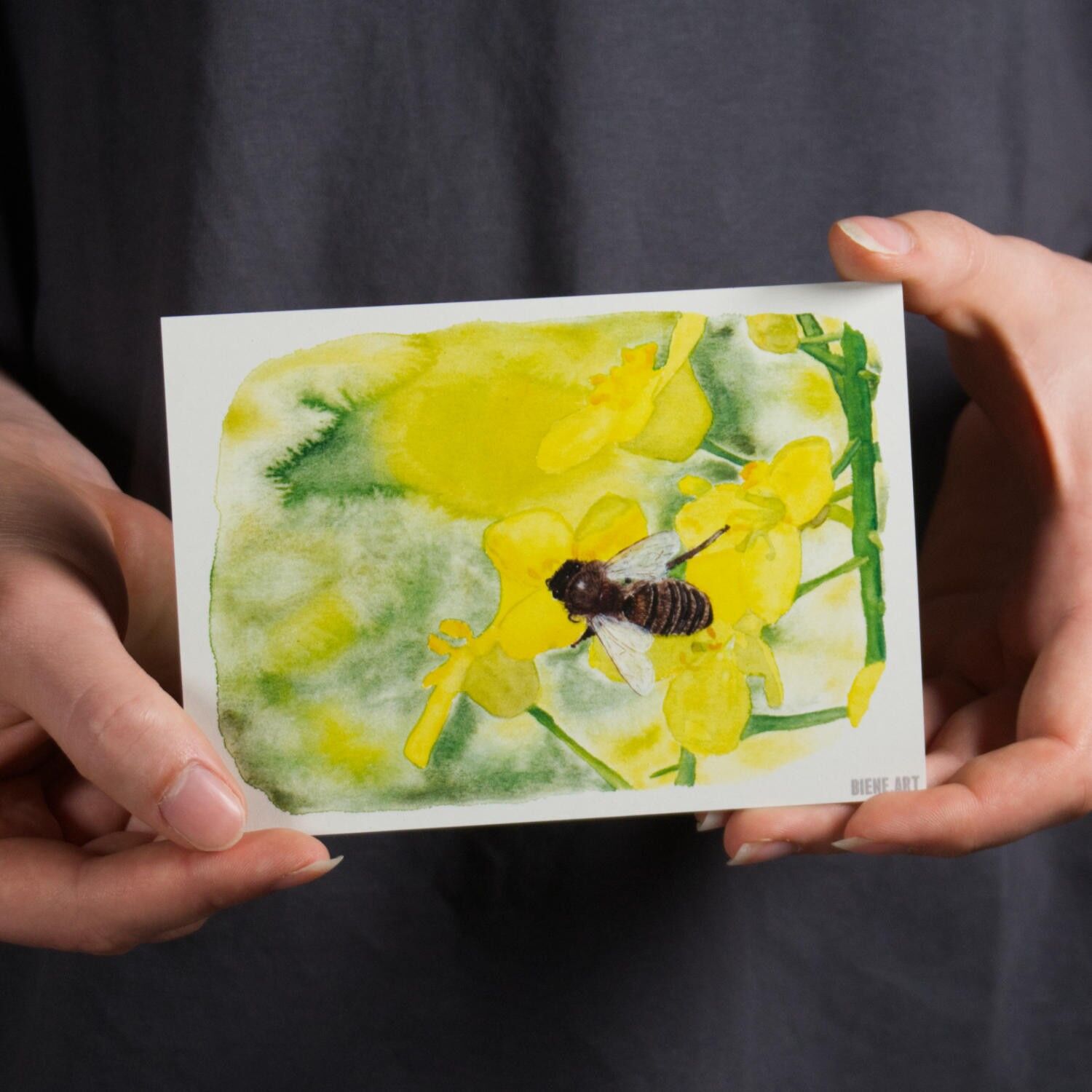 Biene auf Raps (Postkarte)