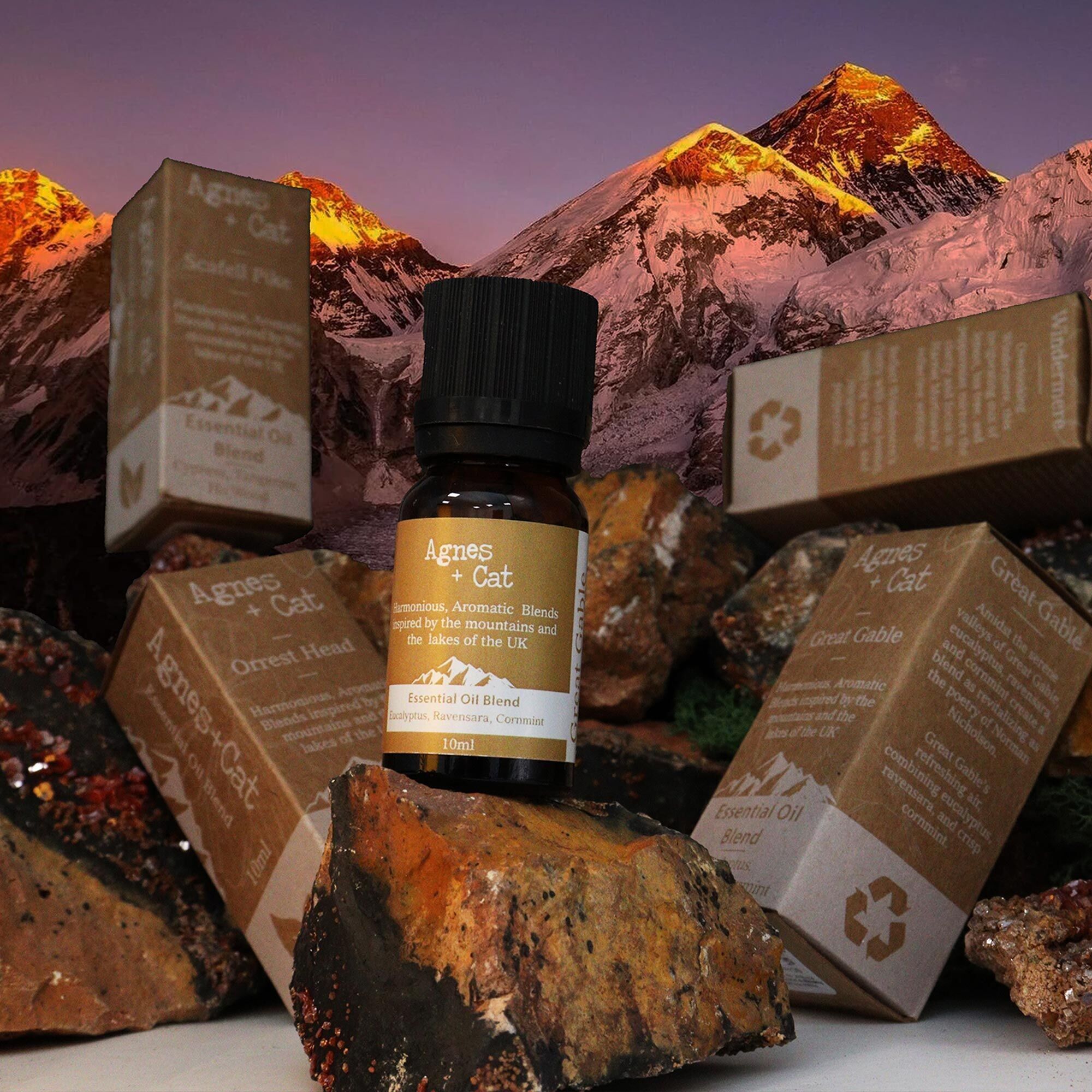 Miscele di oli essenziali Agnes + Cat