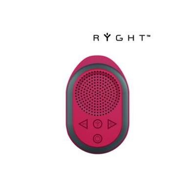 POCKET 2 R Mini multi-media Bluetooth speaker