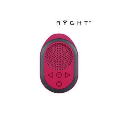 POCKET 2 R Mini-Multimedia-Bluetooth-Lautsprecher