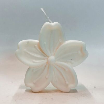 Flor de la isla Kaars