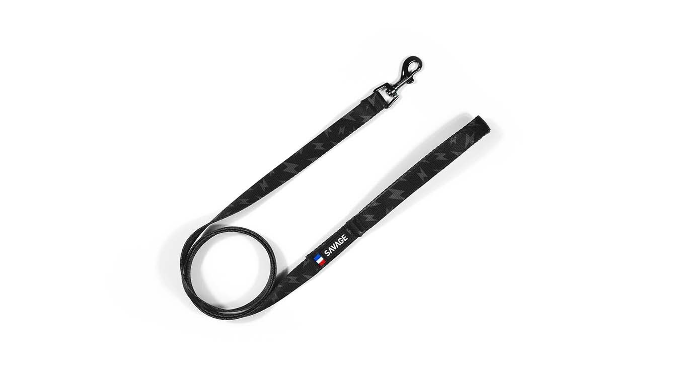 Storm Leash - Puppy, Dog, Cat