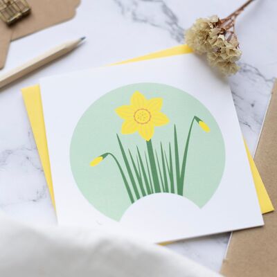 Piccola cartolina - Fiori di inizio primavera - Narciso