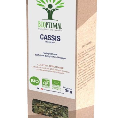 Cassis Plante pour tisane Bio 35g