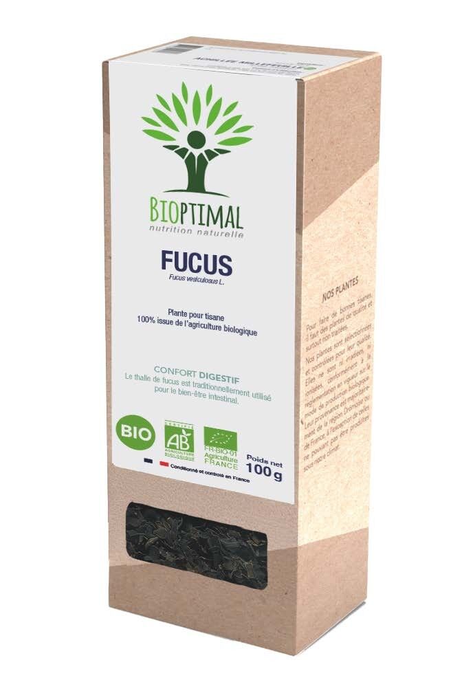Pianta di Fucus per tisana biologica 100g