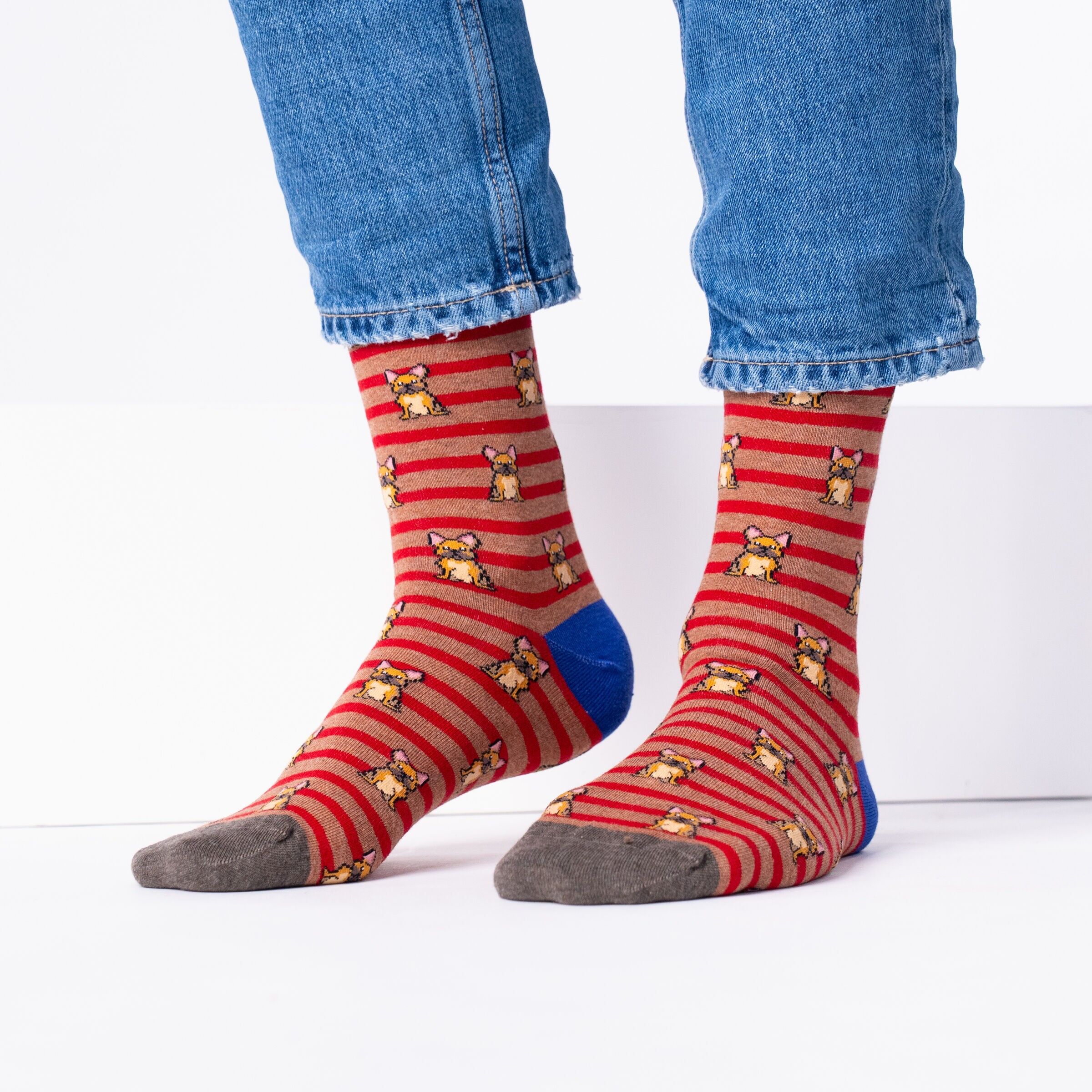 Calzini in cotone pettinato Animali - Marcel