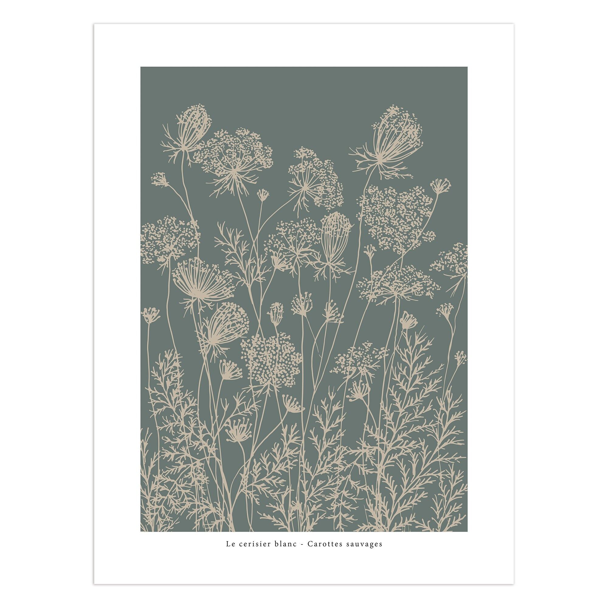 Affiche "Carottes sauvages" fond vert