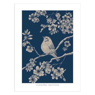 Poster "Nel ciliegio" sfondo blu