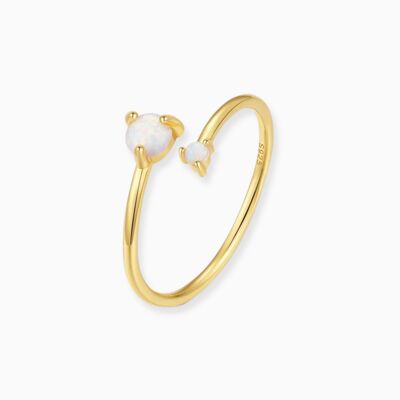 Anillo de Omán