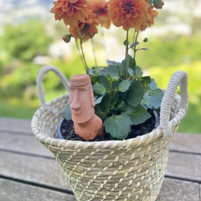 Oyas se plantarán como estatuas Moai en la Isla de Pascua