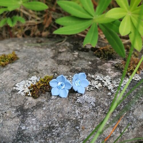 Star Studs Earrings - Blue