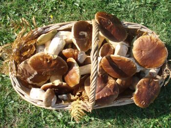 Cepes frits a l'huile 300g 2