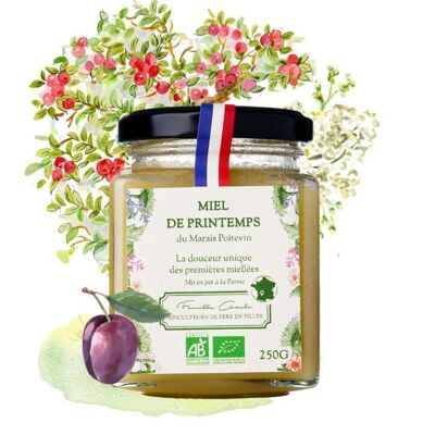 Spring honey (250gr)