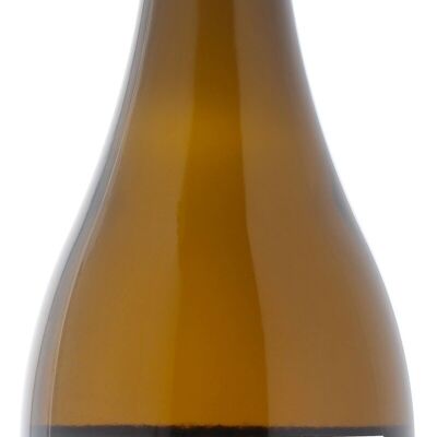 Divino produttore di Sauvignon Blanc 0.5% 2023