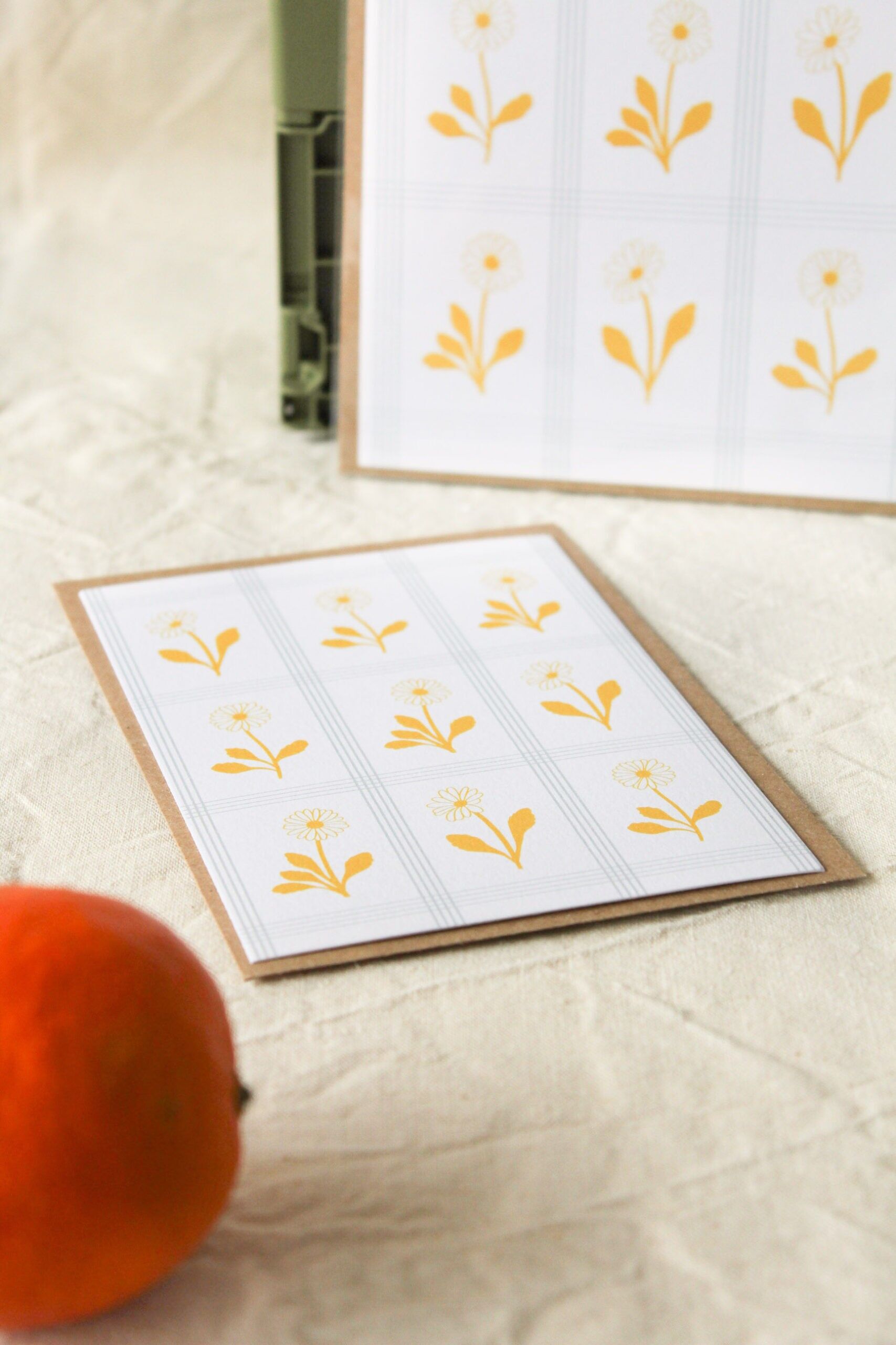 Carte postale Paquerettes