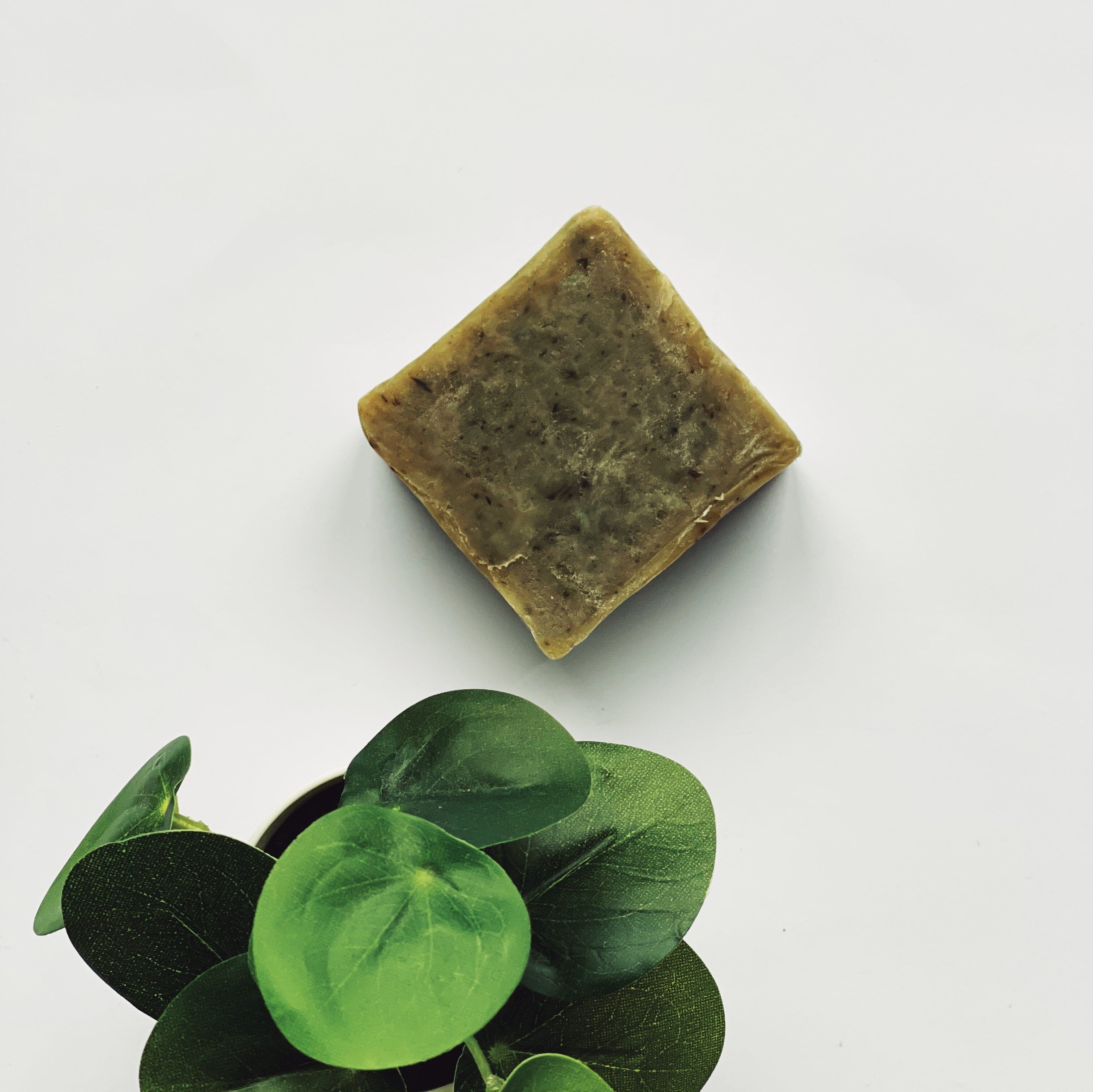 Shampoo solido biologico naturale all'ortica - Capelli misti e grassi