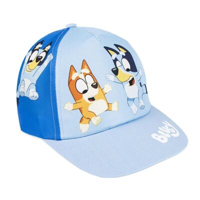 GORRA VISERA CURVA BLUEY - 2200010435