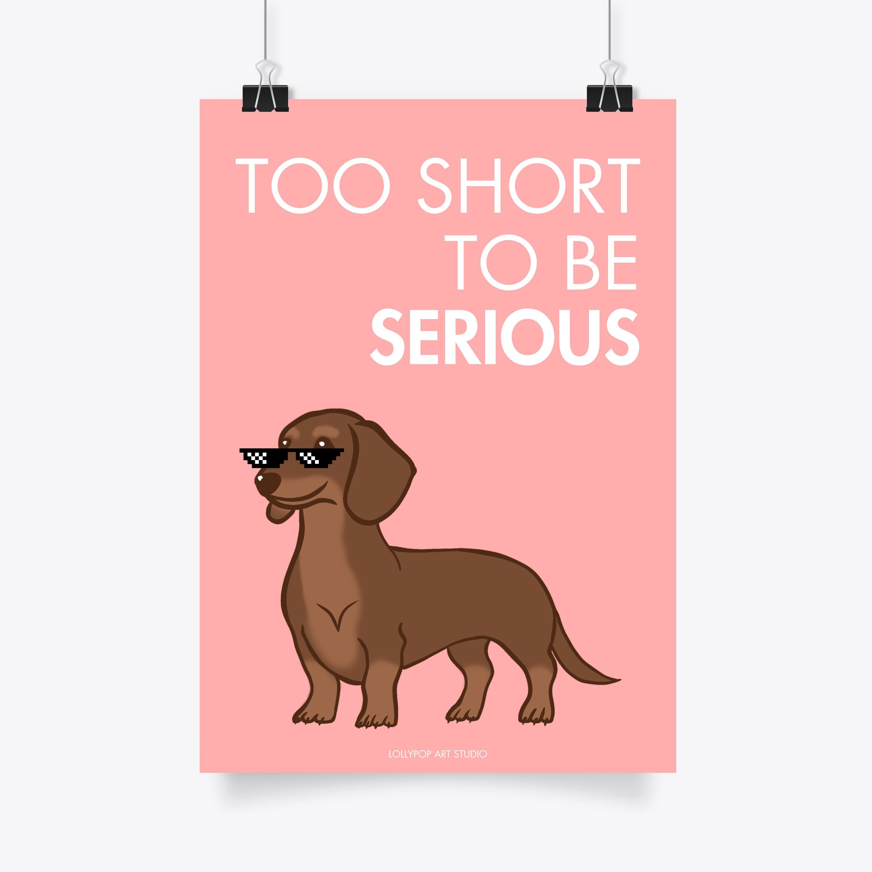 A4 Poster TOO SHORT TO BE SERIOUS - Dackel