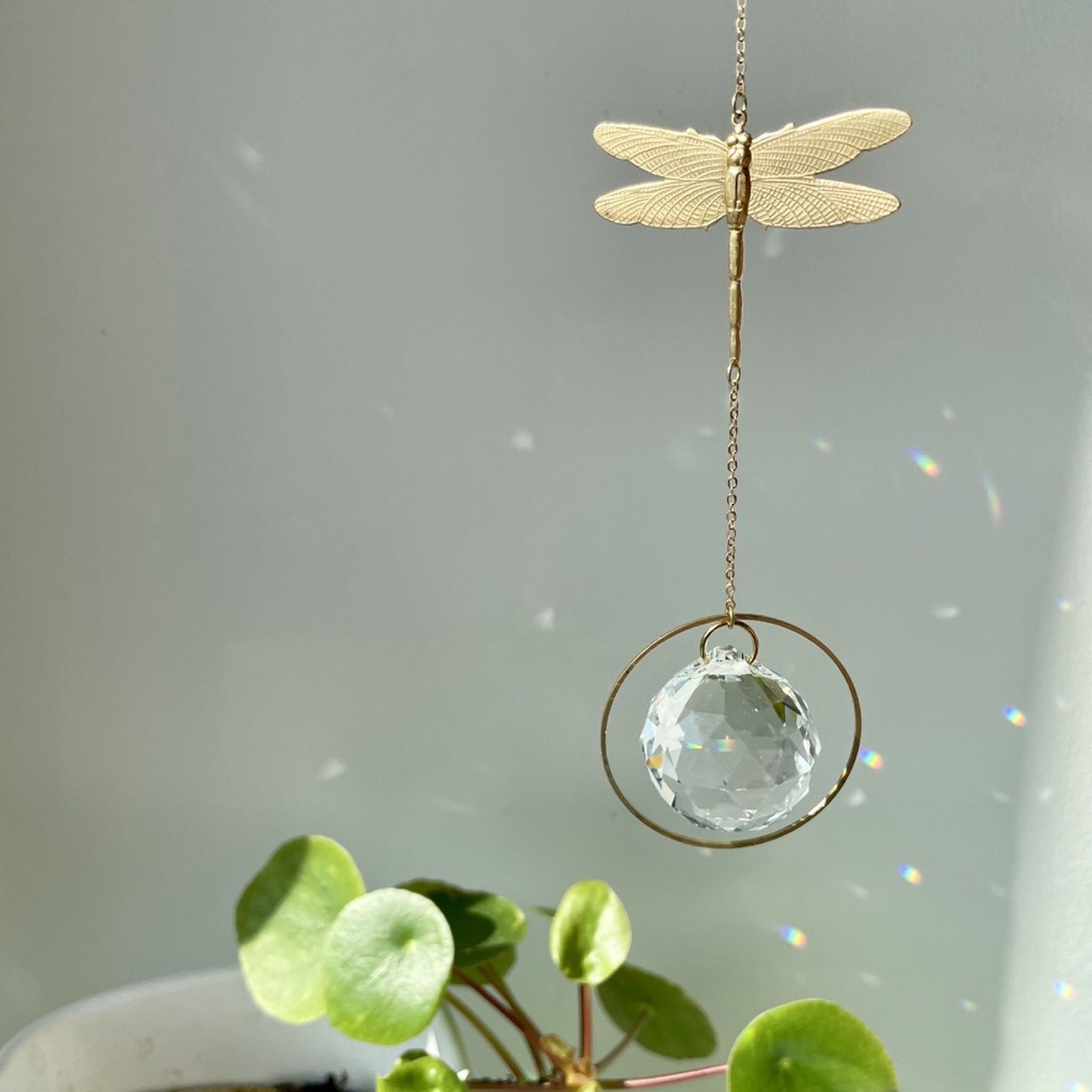 Suncatcher Libelle / Lichtfänger / Fensterkristall /Sonnenfänger