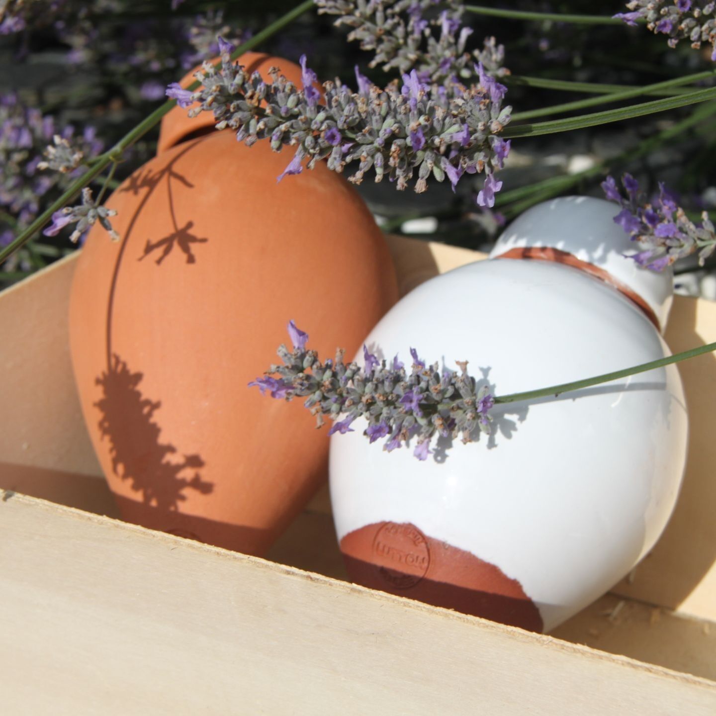 Offerte: Lotto x2 ollas sabeur