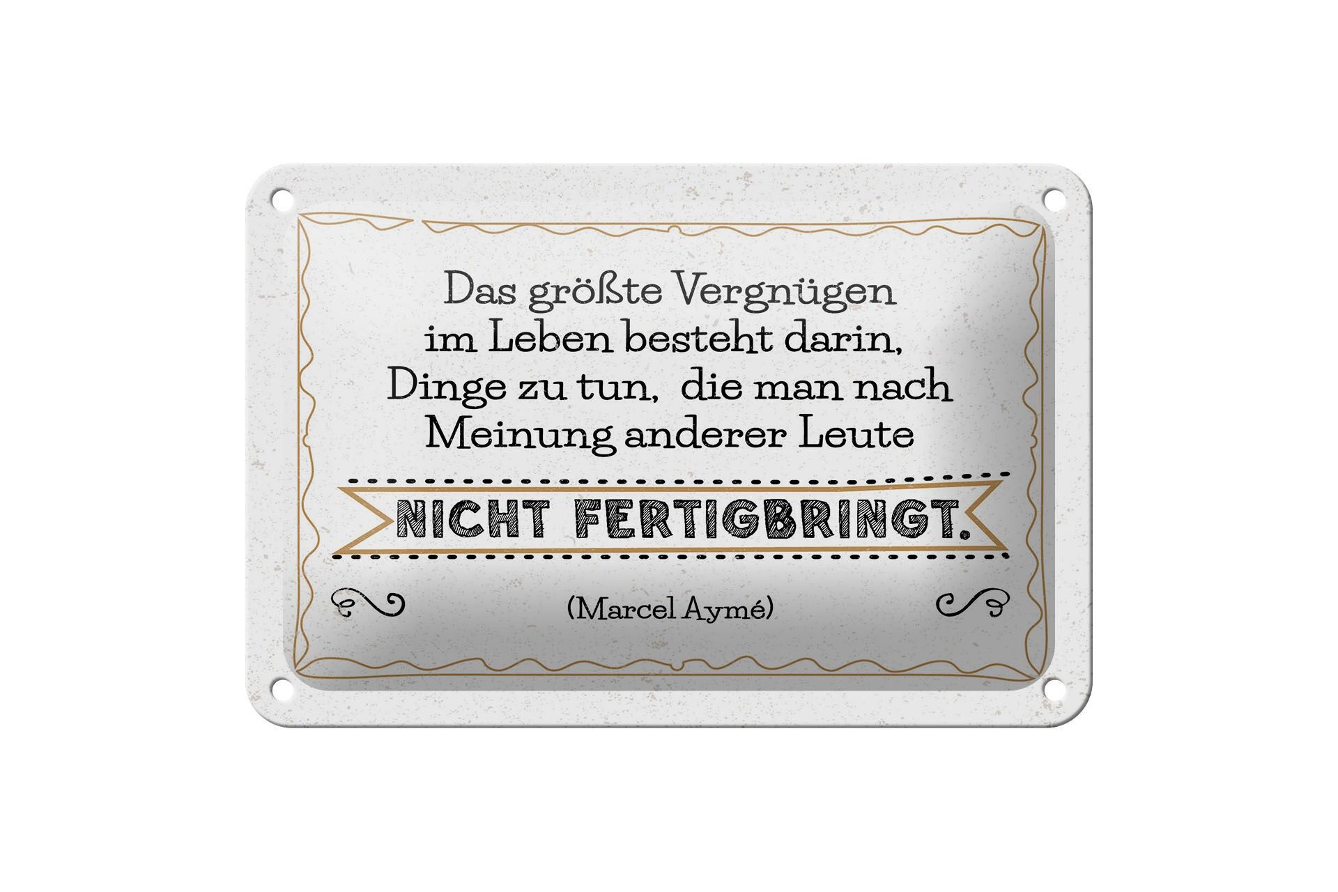 Blechschild Spruch 20x30 cm Vergnügen Dinge zu tun, die nach Meinung anderer