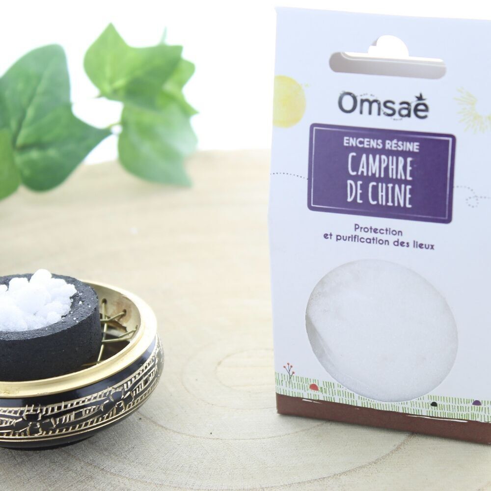 Polvere di resina di incenso canfora cinese 50 g