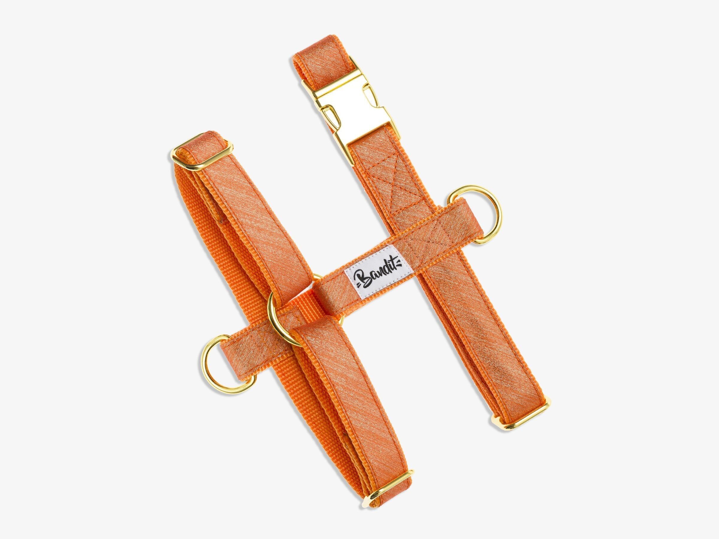 Pettorina per cani con paillettes arancioni