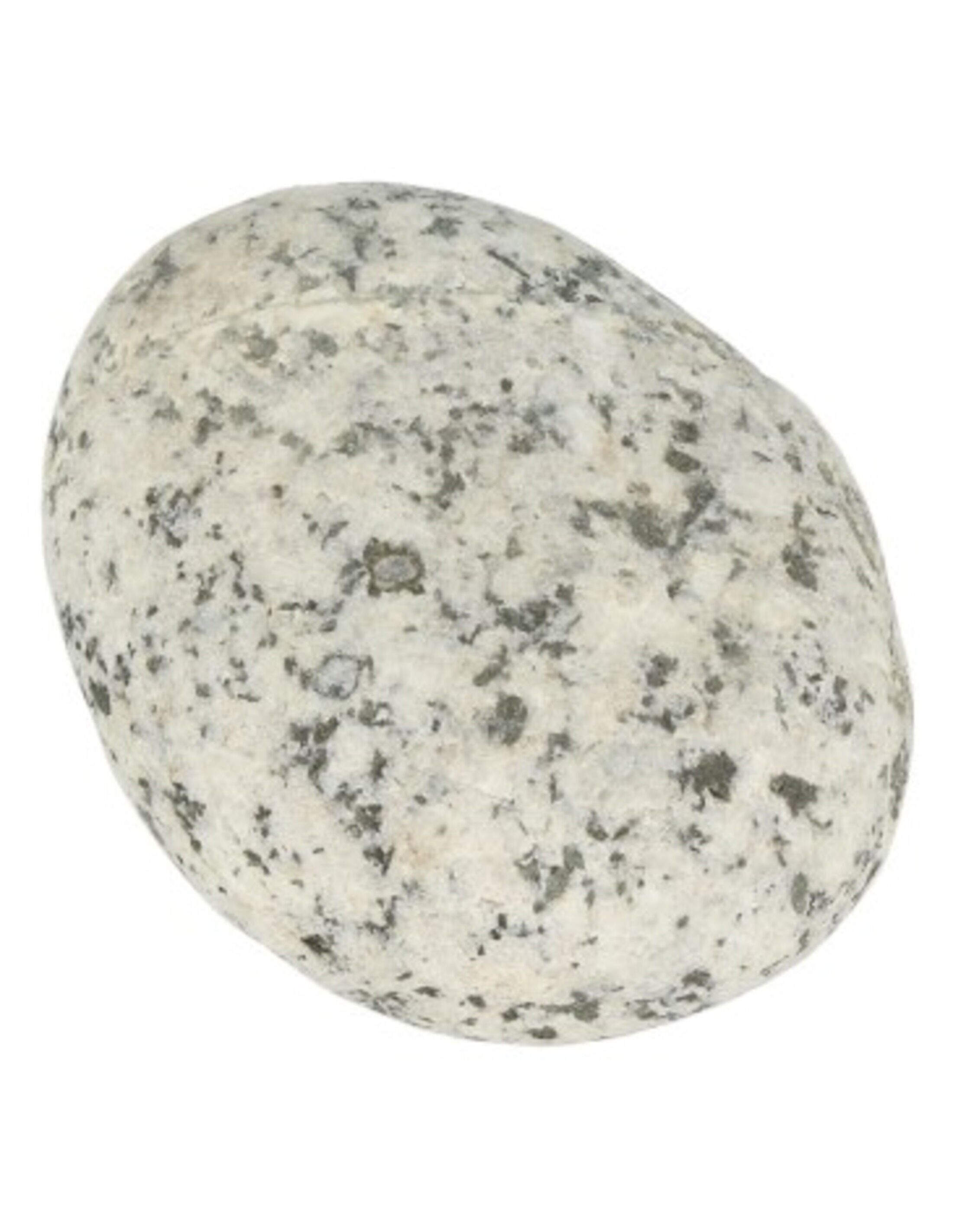 Pietra a mano Pietra di Stonehenge (Preseli)