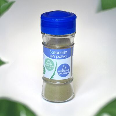Saliera Salicornia – Sostituto del sale vegetale a basso contenuto di sodio – Spezia naturale con tocco umami (28 g, barattolo di vetro)