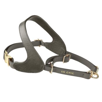 Petsochic dog harness - Cognac - L 3