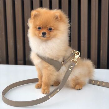 Petsochic dog harness - Cognac - L 5