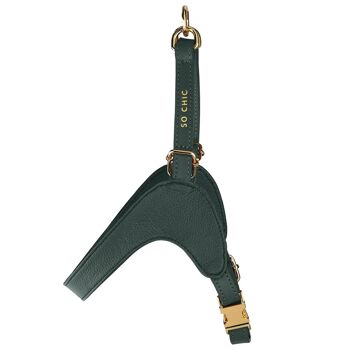 Petsochic dog harness - Forest Green - L 2