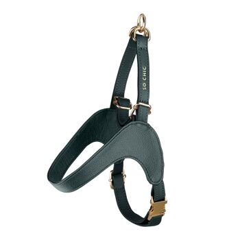 Petsochic dog harness - Forest Green - L 3