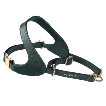 Petsochic dog harness - Forest Green - L 4