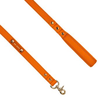 Petsochic dog leash - Tangerine Orange - L 2