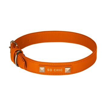 Petsochic dog leash - Tangerine Orange - L 6