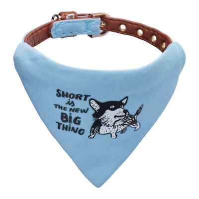 Petsochic tiny dog collar - "Small is the new big thing"