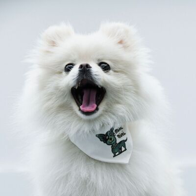 Petsochic tiny dog collar - "Mimi Mini"