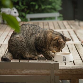 Petsochic fiber bamboo bowl - "Catwoof" - S 2