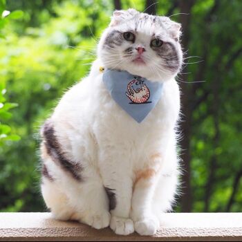 Petsochic cat collar - The Fat Cat 2