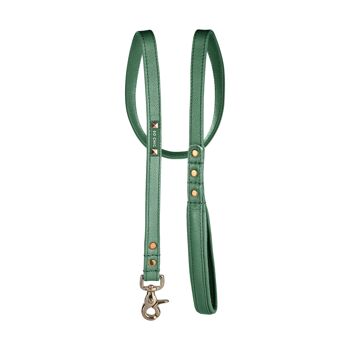 Petsochic dog leash - Forest Green - L 2