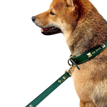 Petsochic dog leash - Forest Green - L 5